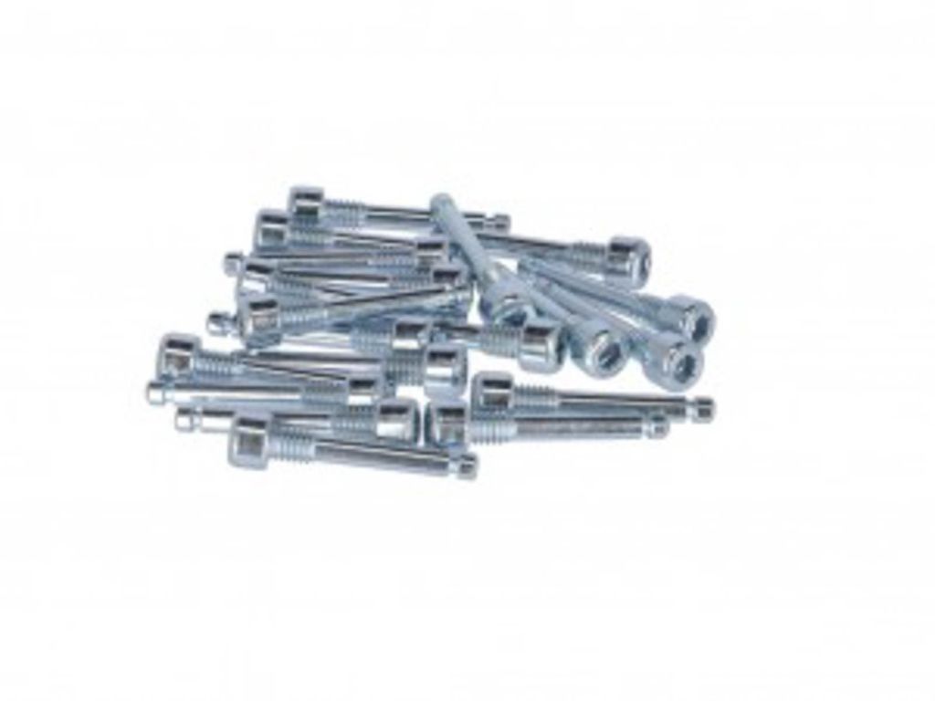 XLC Befestigungsbolzen M4x22 OE-verpackt Avild Elixir 5/7/9, Guide Code/Trail, silber