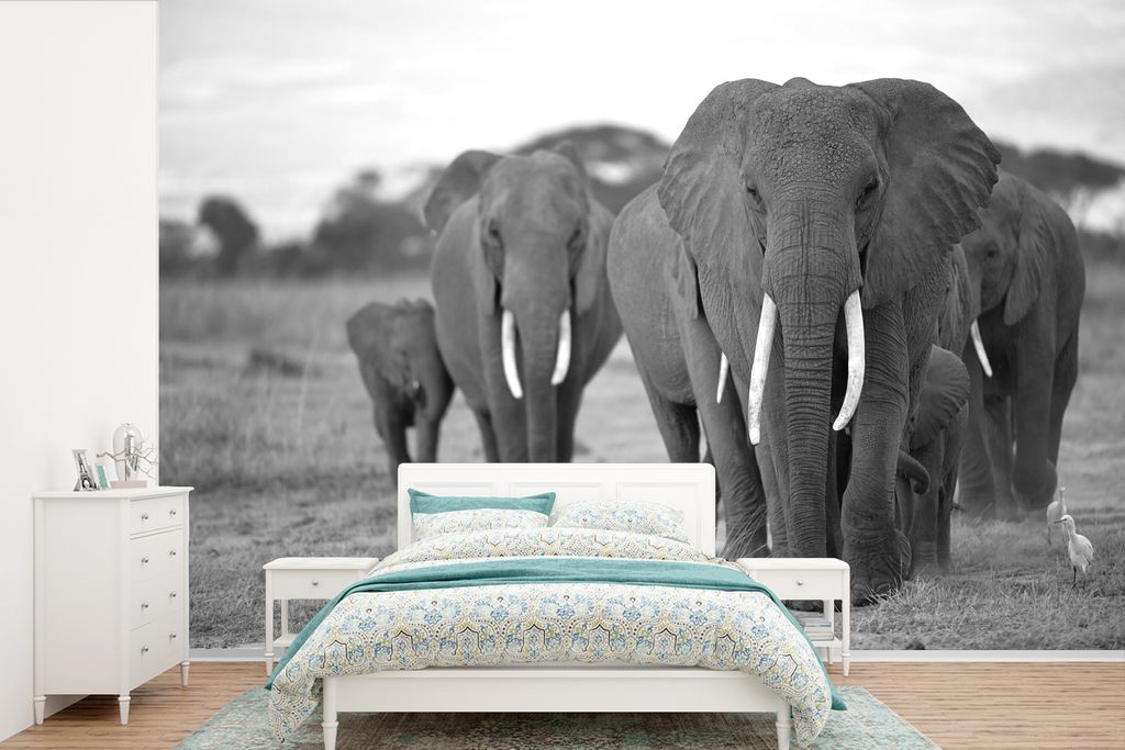 MuchoWow Fototapete für Wohnzimmer oder Schlafzimmer Wandtapete Vinyl Motivtapete Elefantenfamilie - schwarz und weiß - 600x400 cm - Vinyltapeten