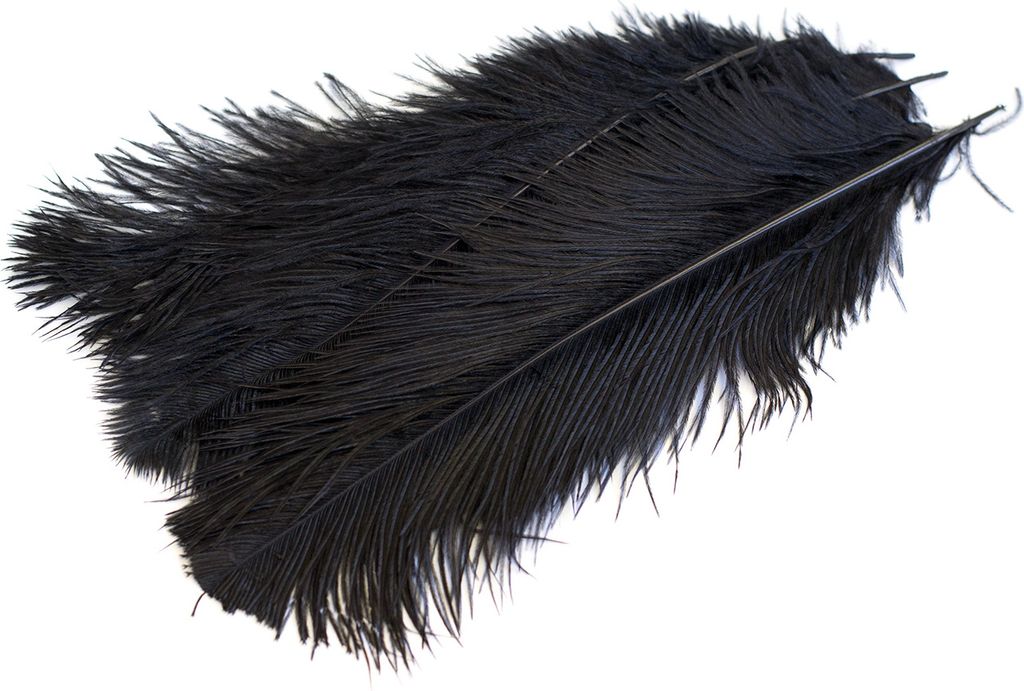 5 Straußenfedern ca. 30 - 40cm, Farbauswahl:schwarz 030 Produktbild 