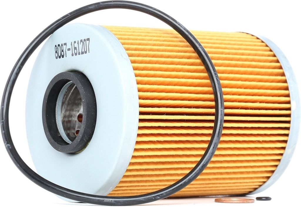 RIDEX 7O0113 - OE 11 42 1 130 389 Ölfilter für 3er (E36), 3er (E46), Z3 (E36), Z4 (E86), Z4 (E85), E-Klasse (W211), GL-Klasse (X164), M-Klasse (W...