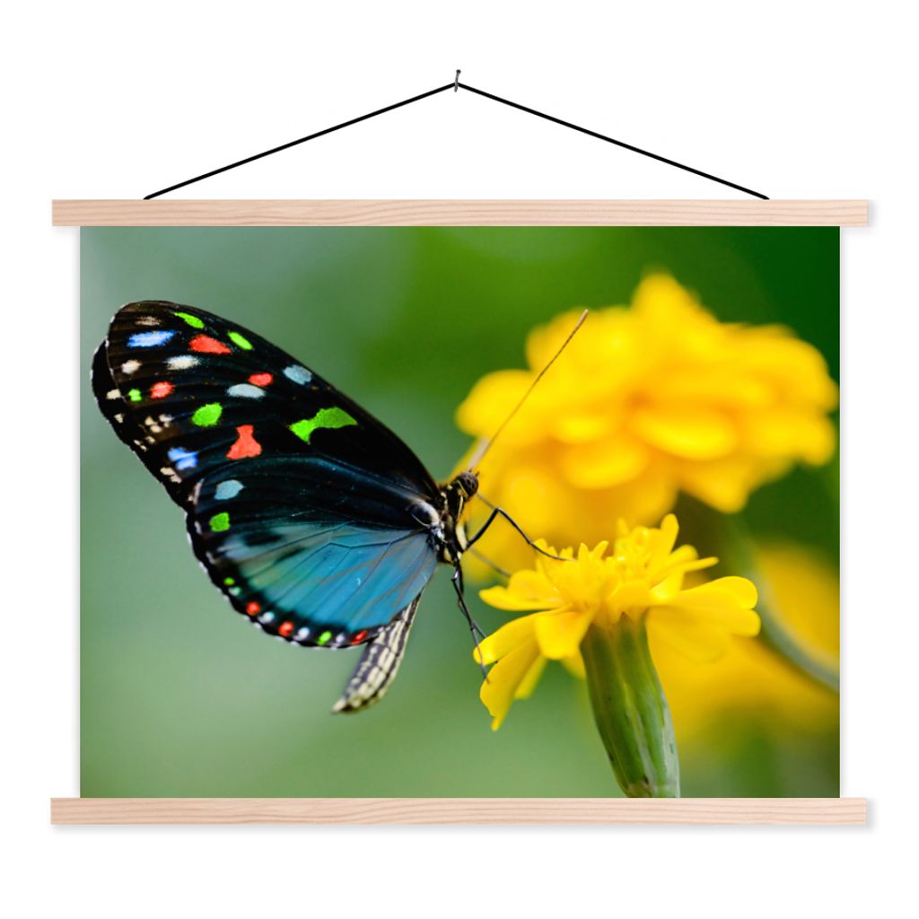 MuchoWow Textilposter Schmetterling - Blume - Tier - Insekt 60x45 cm mit holzfarbenen Rahmen - Bild