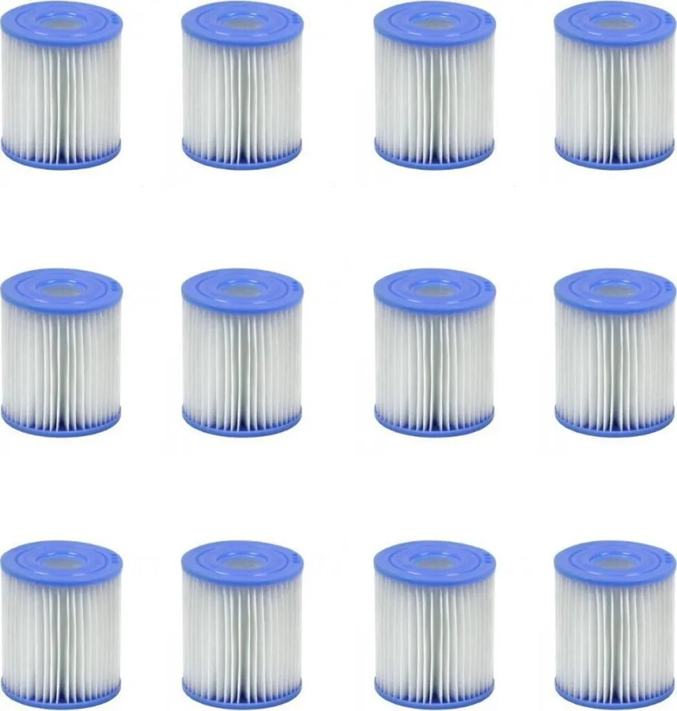 Filtre Piscine Intex Type H 29007 pour Eau Claire : Lot de 12 Cartouches Promo