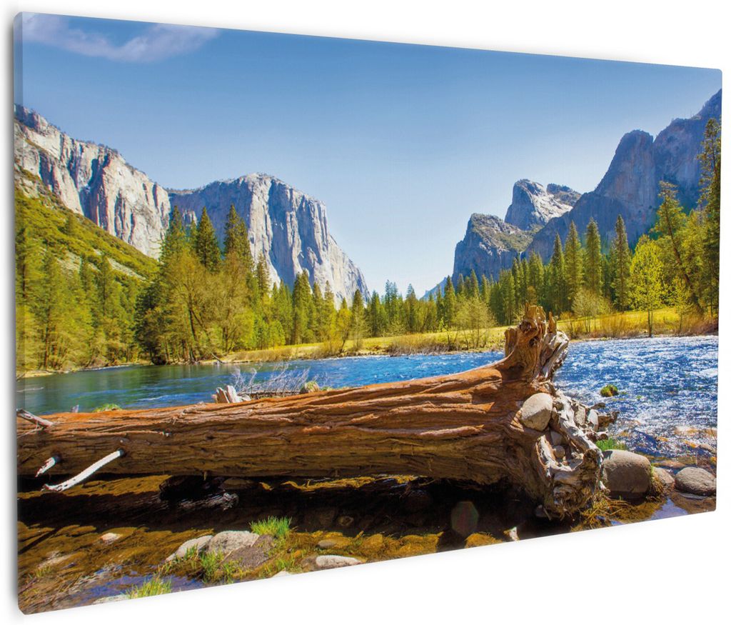 Wallario Premium Leinwandbild Baumstamm im Fluss zwischen Bergen und Wäldern in Größe 60 x 90 cm