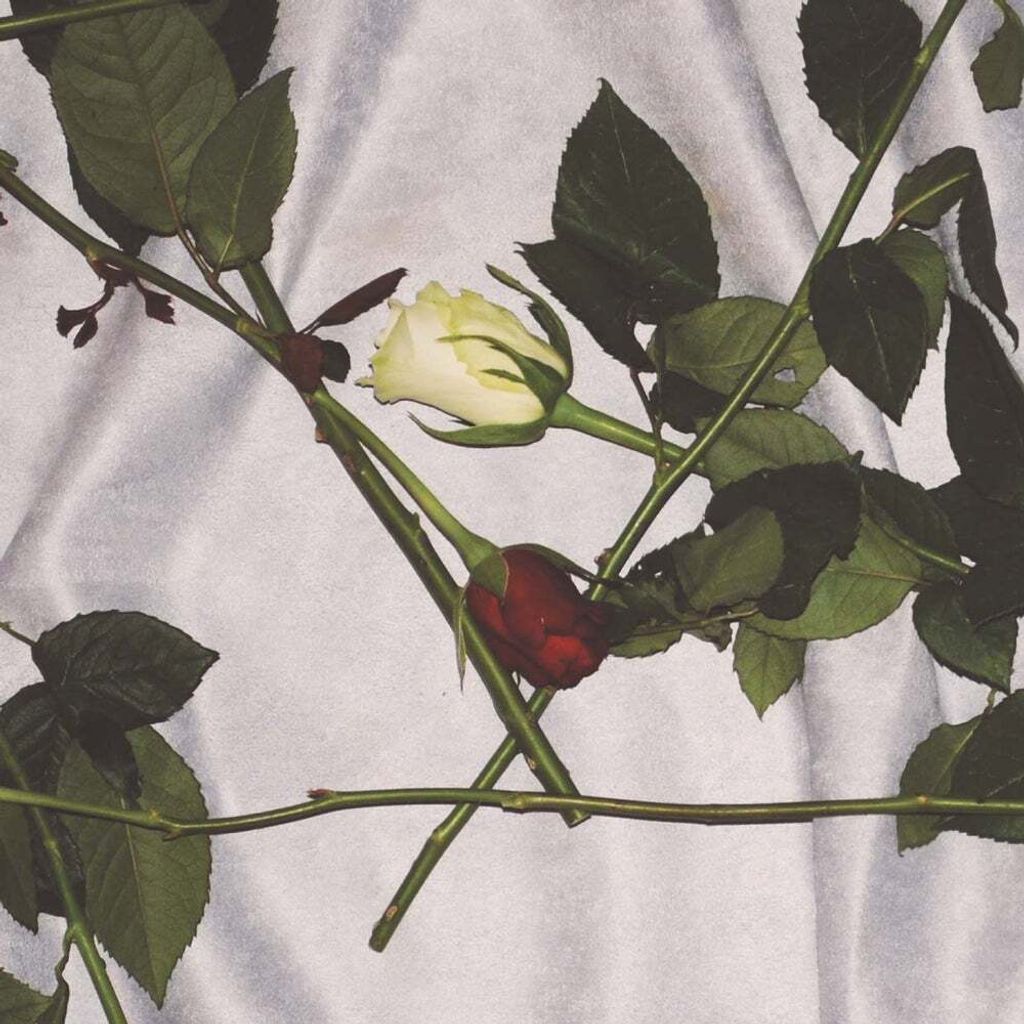 Chain Of Flowers-Cadwyn O Flodau (Clear Vinyl Edit