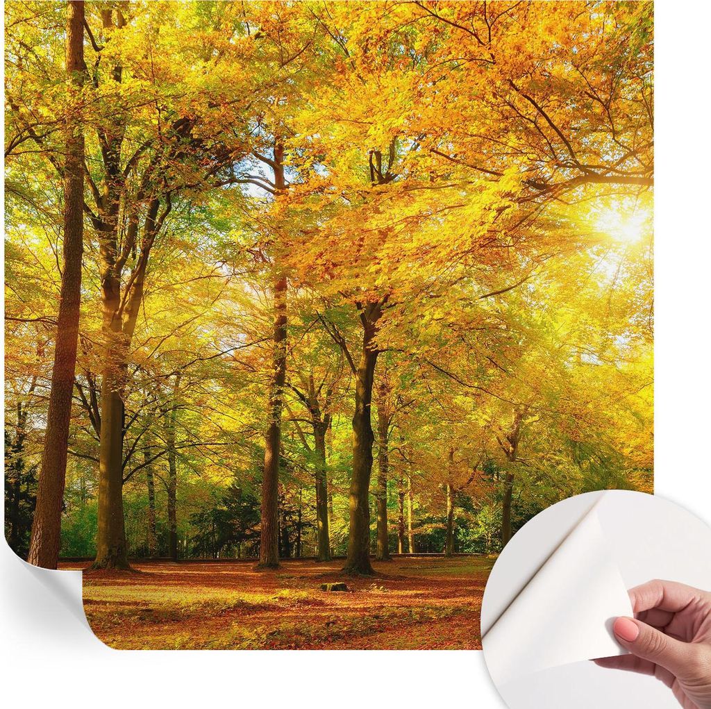 Selbstklebende Wandtapete - Dekorative Tapete für Wohnzimmer - Klebefolie für Wandbilder - Tapetenfolie für Wanddekoration - 250x250 cm - Golden...