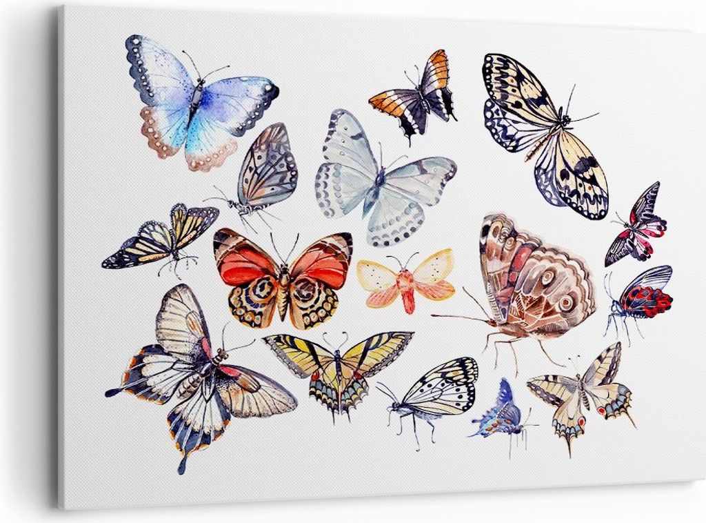 Bild auf Leinwand - Leinwandbild - Schmetterlinge Illustration Bunt Flügel - 100x70cm - Wand Bild - Wanddeko - Leinwanddruck - Bilder - Kunstdruck...