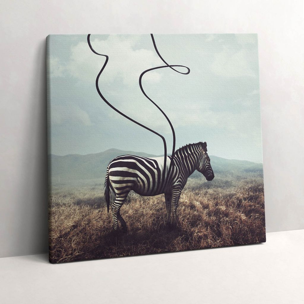 Zebra stripes illustration – Leinwandbild Wandbild – 60x60 cm – Leinwandbilder – Wandbilder – Schlafzimmer – Flur