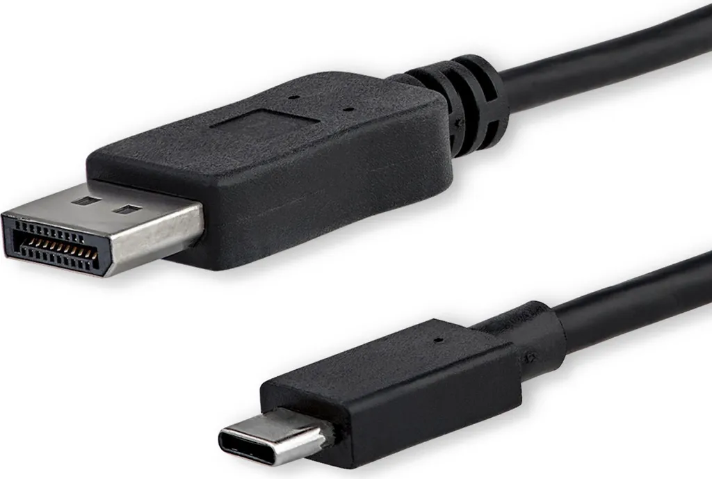 Câble adaptateur USB-C vers DisplayPort 4K compact avec connecteur robuste - 2