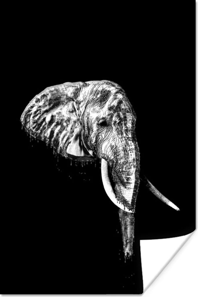 MuchoWow Poster Illustration Elefant vor schwarzem Hintergrund - schwarz und weiß 60x90 cm - Wanddekoration