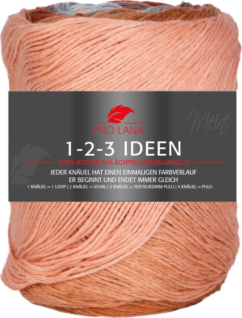 Pro Lana 1-2-3 IDEEN 100 g Sommergarn mit einzigartigem Farbverlauf Farbe 016 - appricot/mint