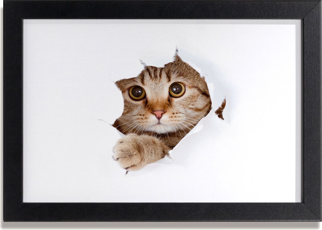 Bild 30x20 MDF-Rahmen, Wandkunst Katze