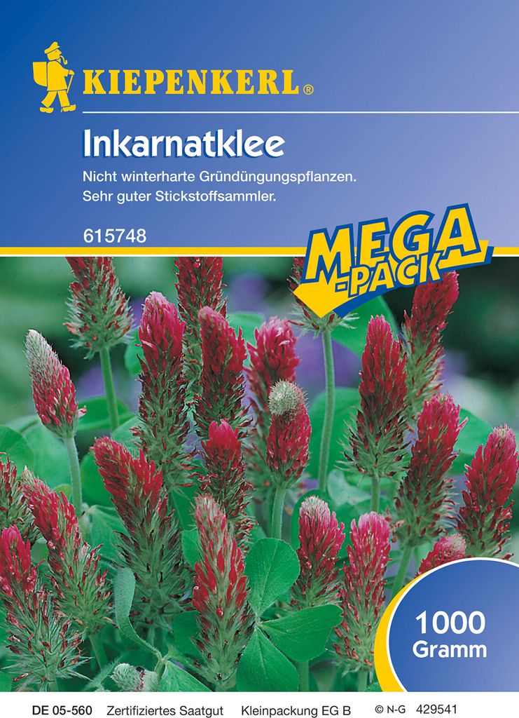 Artikelbild 1 von 'Inkarnatklee Kardinal (1 kg)' aus der Kategorie Gründünger & -düngung