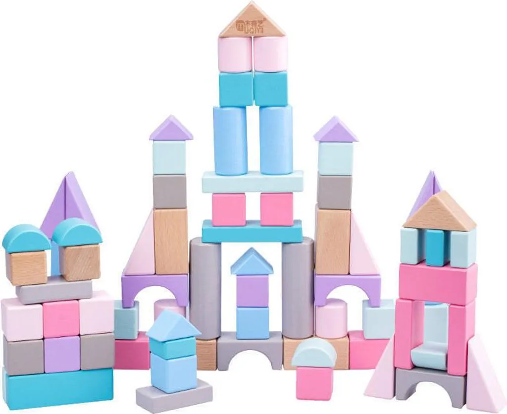 Jeu Éducatif Blocs de Tri en Bois Pastel pour Motricité Fine et Éveil