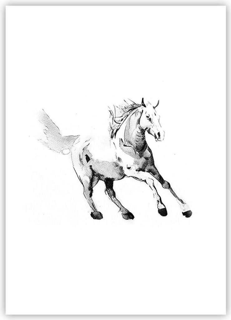 Poster - Poster ohne Rahmen - Pferd Galopp Tier - 50x70 cm - Wand Bild - Wanddeko - Wandbilder - Kunstposter - Wandposter - Bilder - Kunstdruck - W...
