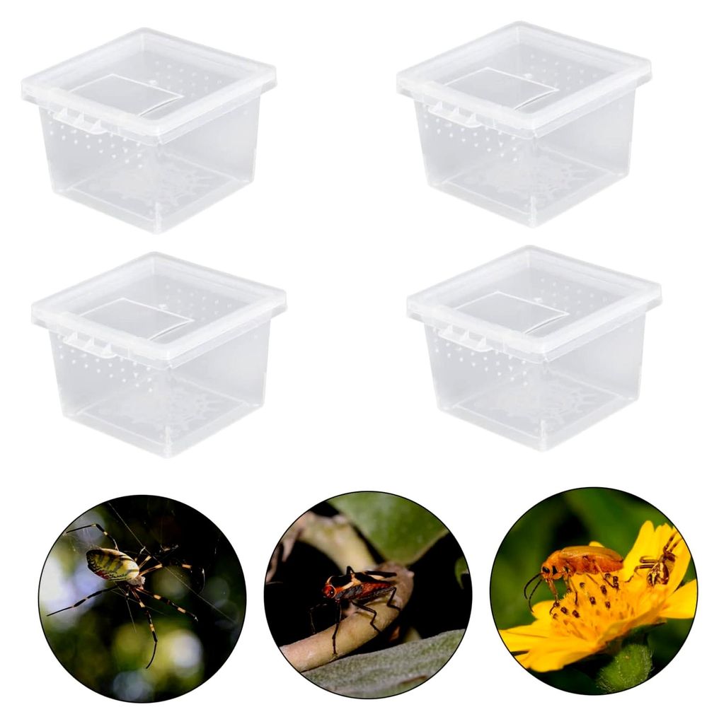 10 Stück Kleine Futterboxen für Reptilien mit Klappbarem Deckel aus Bruchfestem Kunststoff, Kompakt und Sicher für Spinnen und Kleine Reptilien,...