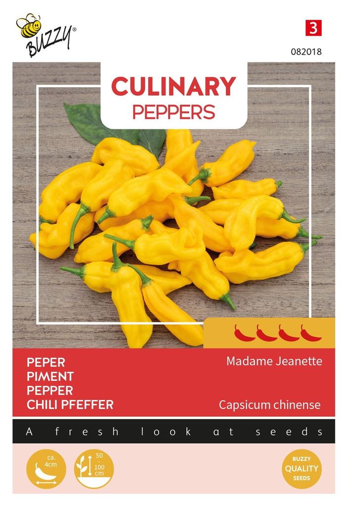 Paprika Madame Jeanette | Paprikasamen von Buzzy Seeds
