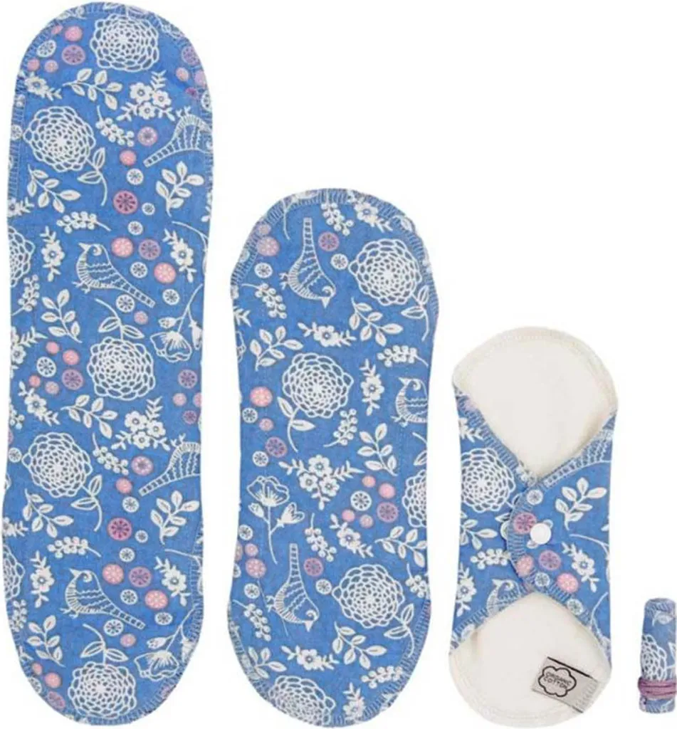 Kit Garden Mestruazioni: Assorbenti Ali + Tamponi Alta Protezione