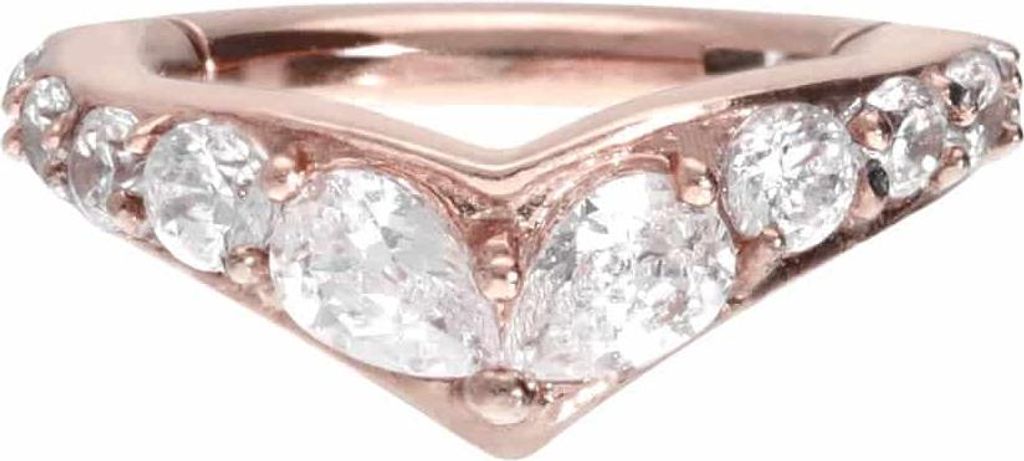 Ohrpiercing, Nasenpiercing, Septum Piercing Chirurgenstahl Segmentring Clicker DIADEM RoséGold Innendurchmesser: 8 mm