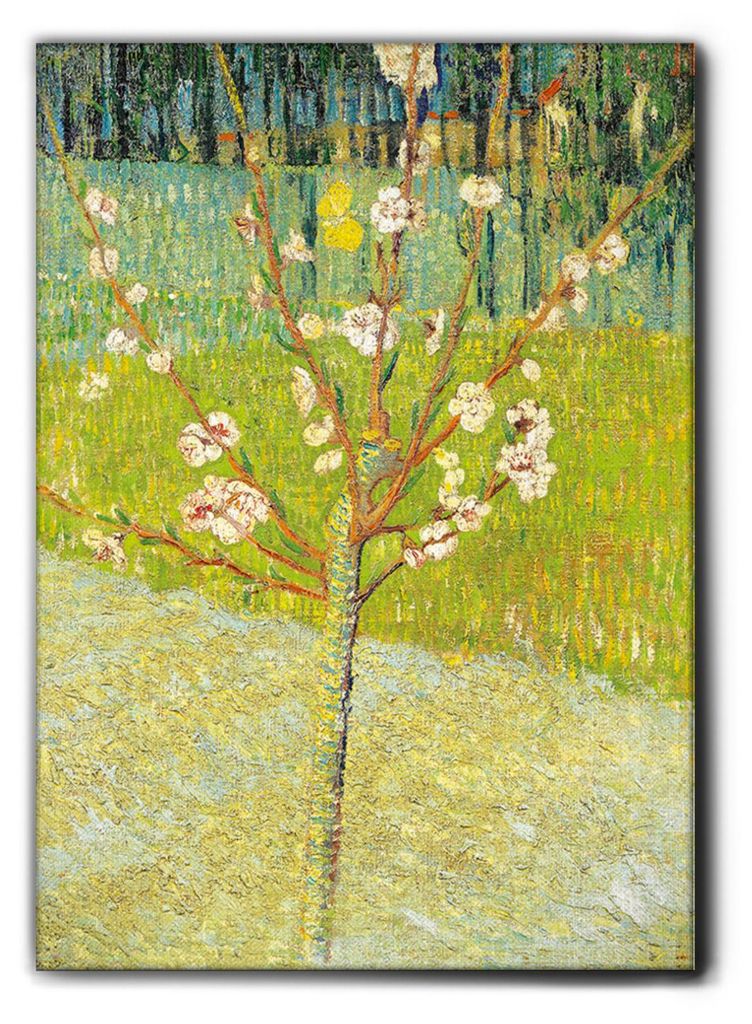 Giallobus - Pfirsichbaum in voller Blüte - Vincent Van Gogh - 100L x 140B cm - Bild - Premium Loom Canvas mit hoher Dicke
