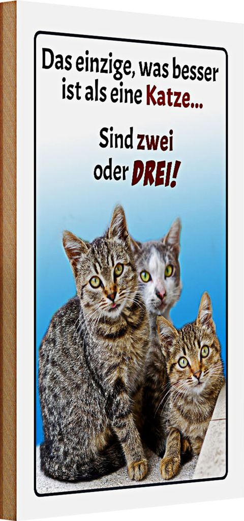 Holzschild Spruch 20x30cm einzige was besser ist als Katze