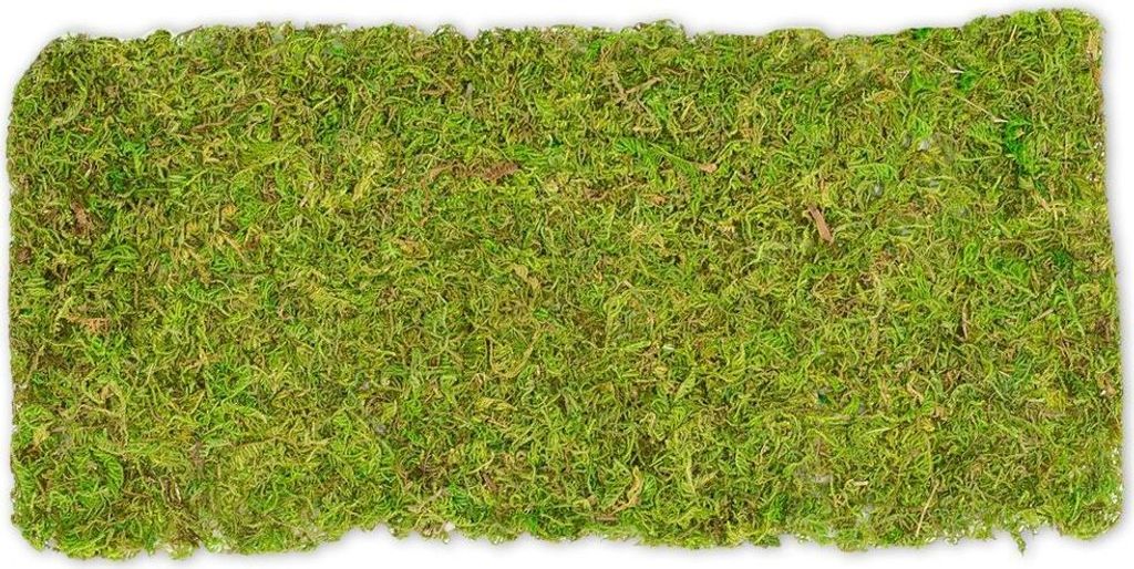 Moosplatte ca. 38x18cm | Moosmatte Produktbild 