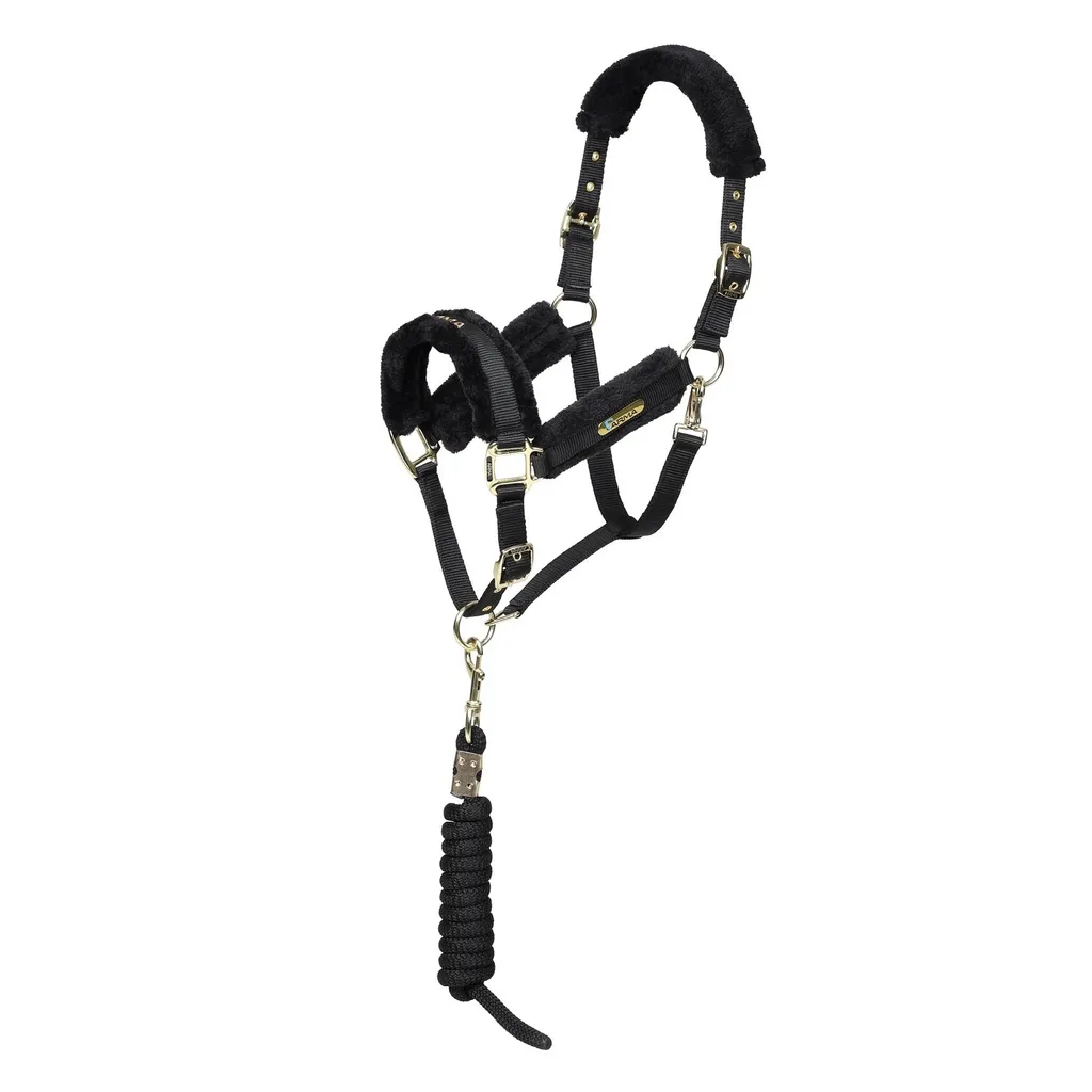 Licol et longe ARMA ER1836 avec fourrure synthétique Noir taille Cob