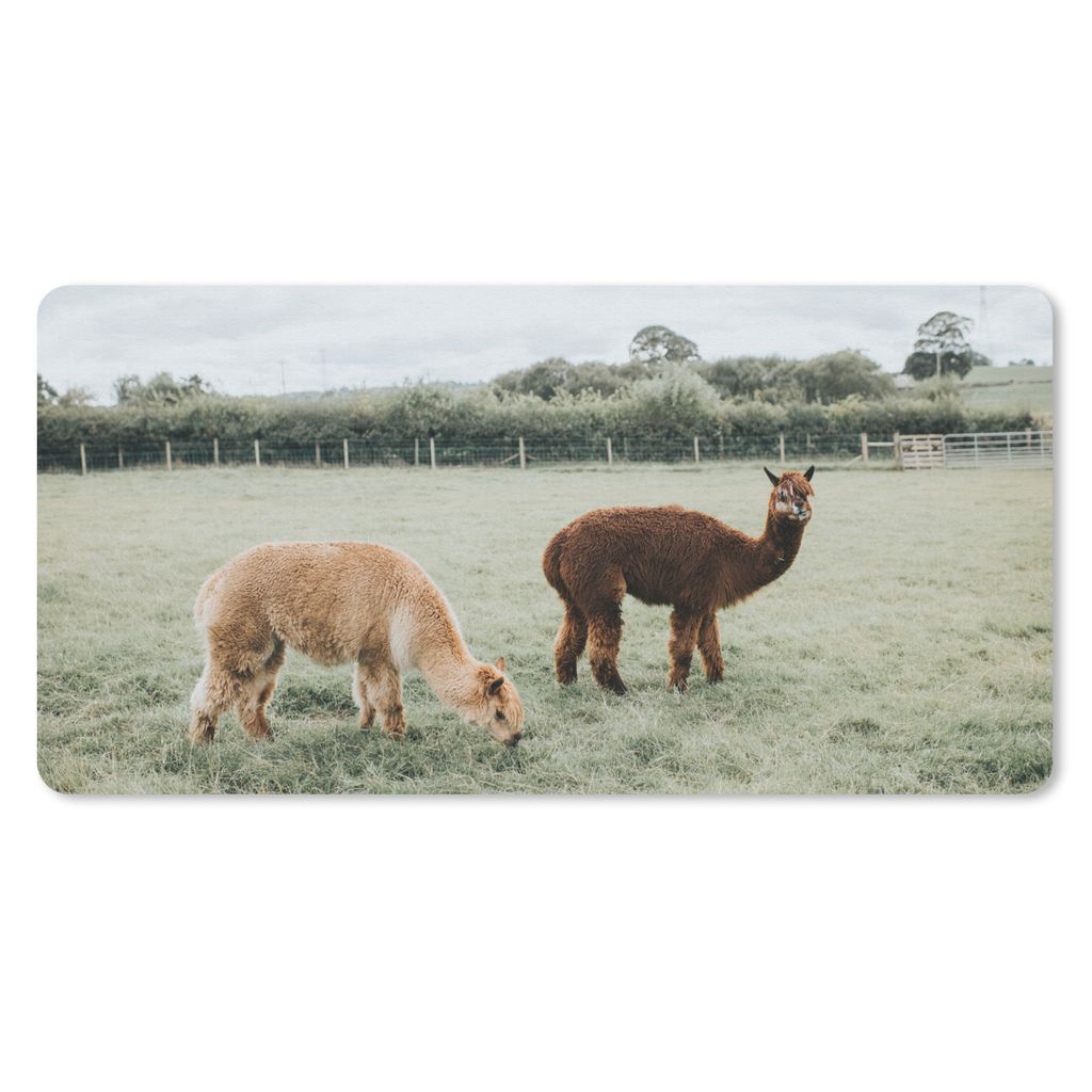 MuchoWow Schreibtischunterlage Alpakas - Tiere - Gras 80x40 cm - XXL Mauspad - Gaming Mauspad