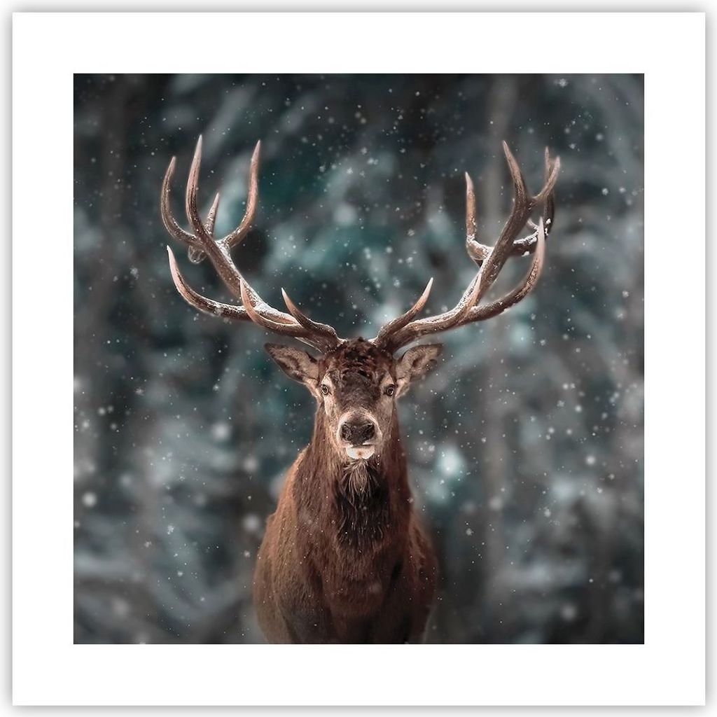 Poster - Poster ohne Rahmen - Hirsch Hirsch Winter - 40x40 cm - Wand Bild - Wanddeko - Wandbilder - Kunstposter - Wandposter - Bilder - Kunstdruck ...