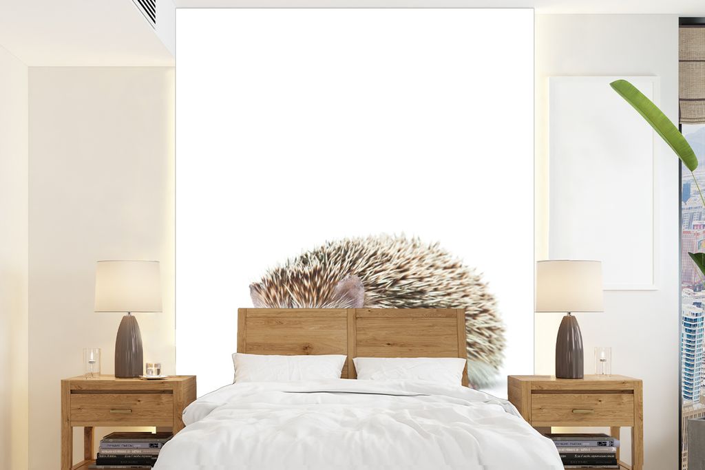 MuchoWow Fototapete für Wohnzimmer oder Schlafzimmer Wandtapete Vinyl Motivtapete Igel - Tiere - Weiß - 165x220 cm - Wanddekorationen