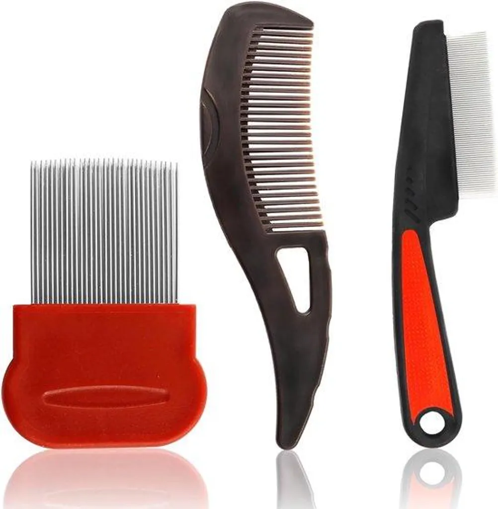 Kit de peignes anti-pellicules professionnel en inox pour le cuir chevelu