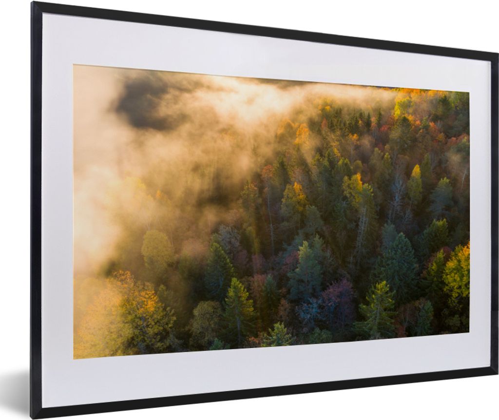 MuchoWow MuchoWow Gerahmtes Poster Wald - Nebel - Sonnenuntergang 60x40 cm - Poster mit zchwarzem Bilderrahmen - Schlafzimmer - Plakat in Rahme...