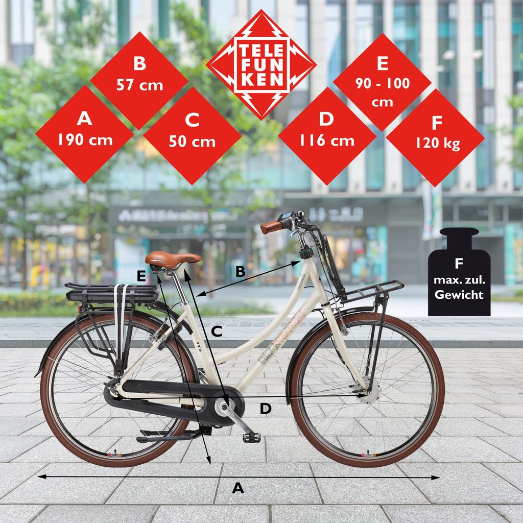 Telefunken E-Bike RT540 mit 7-Gang Shimano Nabenschaltung - Produktbild 6