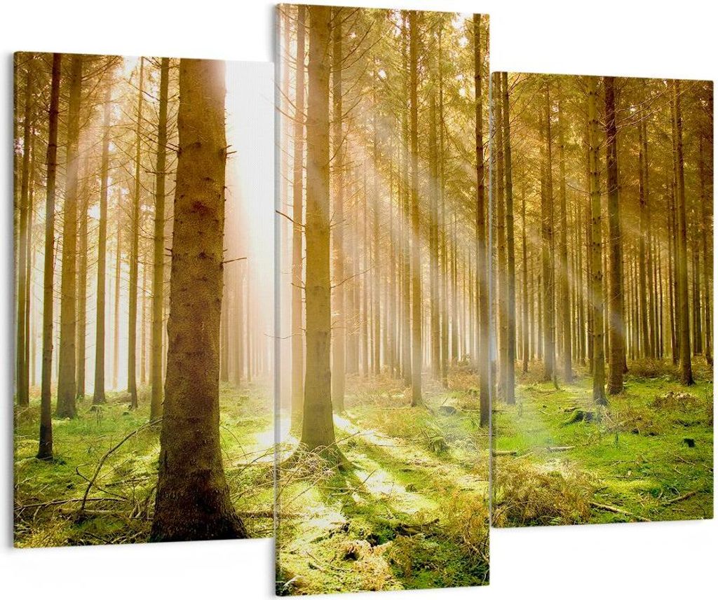 Bild auf Leinwand - Leinwandbild - Bäume Sonne Natur - 130x100cm - Wand Bild - Wanddeko - Leinwanddruck - Bilder - Kunstdruck - Wanddekoration - L...