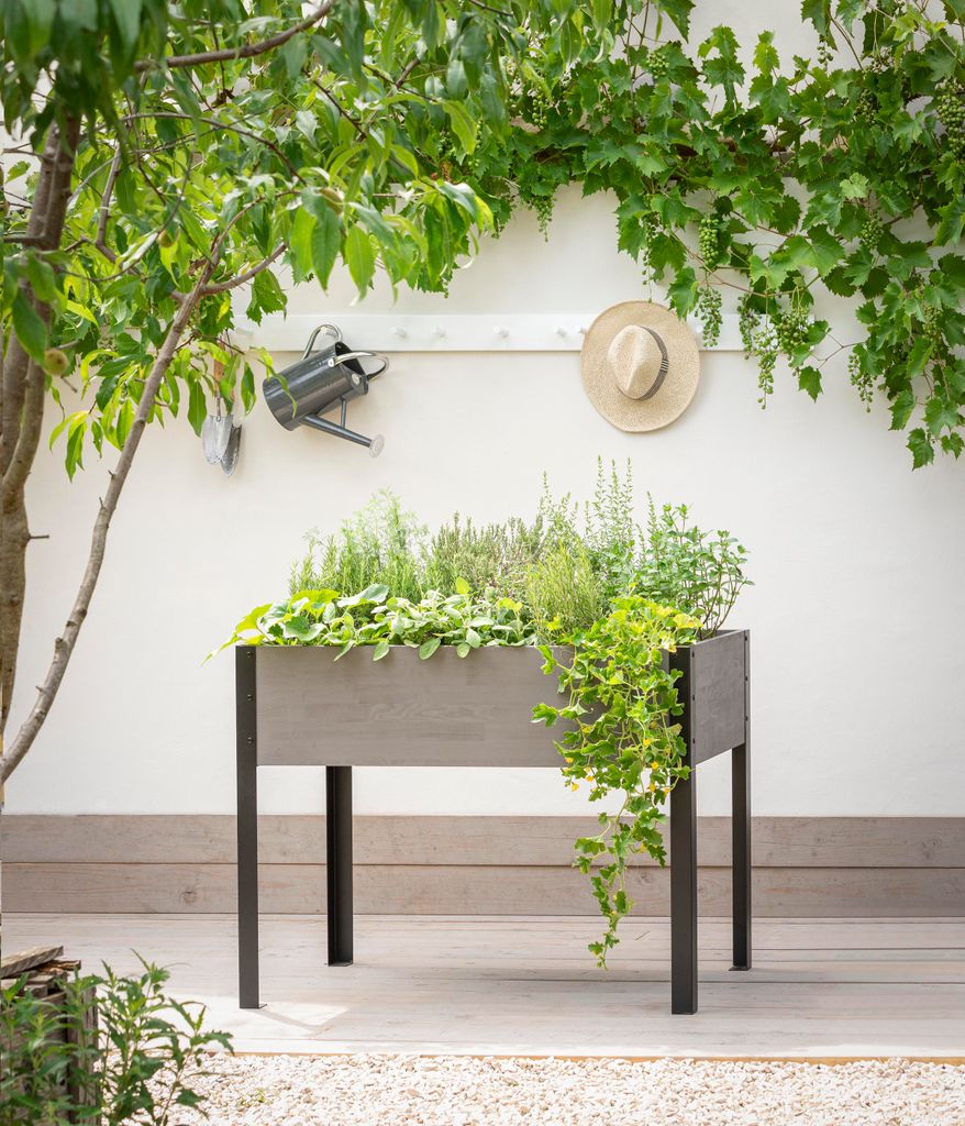 Dehner Hochbeet Ottawa, 110 x 85 x 60 cm B/H/T, FSC®-es