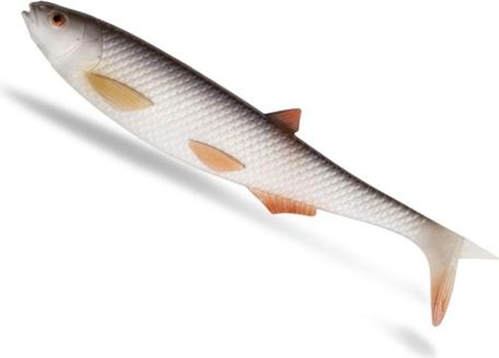 Quantum Yolo Pike Shad 60g 22cm real touch bream