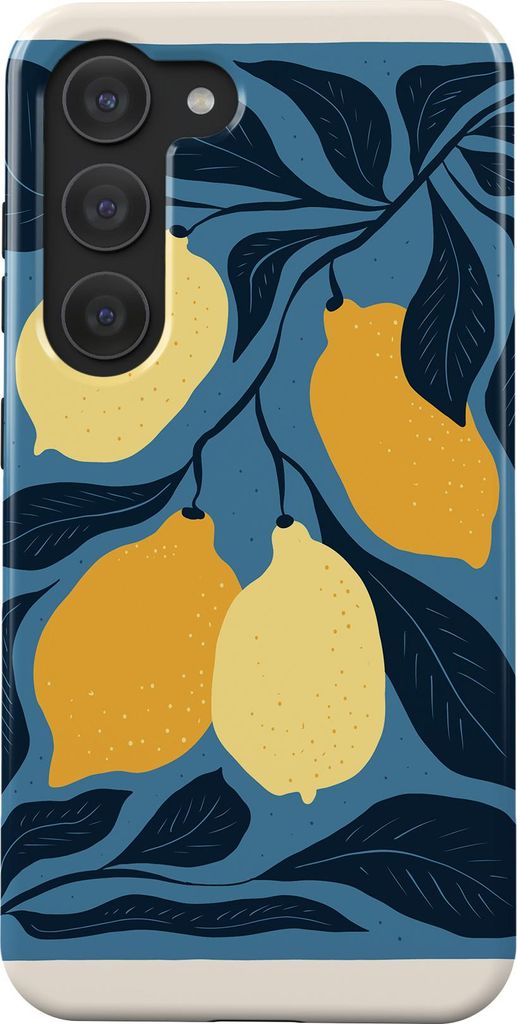 Samsung Galaxy S25 Plus, Schutzhülle kompatibel mit MagSafe stoßfest – Handyhülle Case Schutz