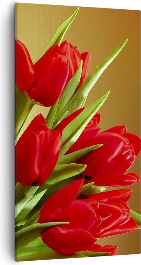 Bild auf Leinwand - Leinwandbild - Tulpen Blumen Feld Plantage - 55x100cm - Wand Bild - Wanddeko - Leinwanddruck - Bilder - Kunstdruck - Wanddekora...