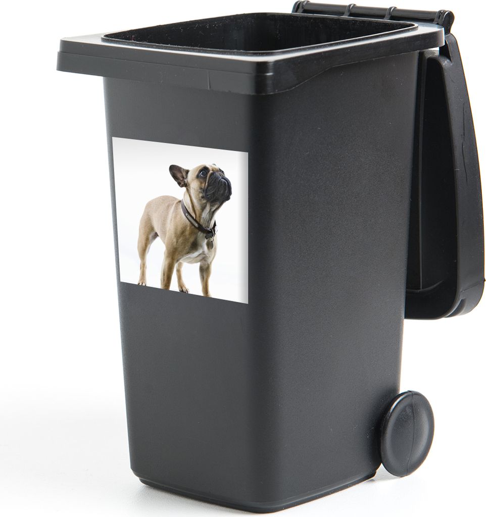 MuchoWow Mülltonnenaufkleber Französische Bulldogge - Halsband - Braun 40x40 cm - Abfall-Aufkleber - Container - für Abfallcontainer
