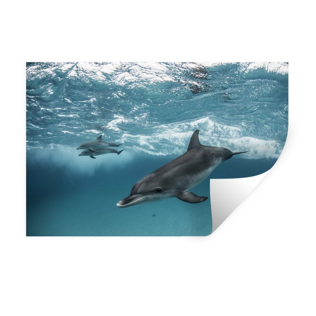 MuchoWow Wandtattoo Wandsticker Wandaufkleber Delfin - Wasser - Meer 90x60 cm Selbstklebend und Repositionierbar - Aufkleber