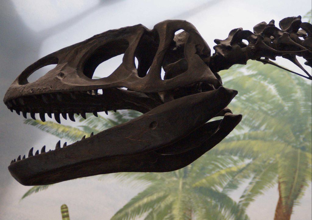 hansepuzzle 11350 - Im Museum Puzzle, 260 Teile, Orte, 41,0 x 28,0cm mit hochwertiger Aufbewahrung, Kartonbox und wiederverschließbarem Beutel