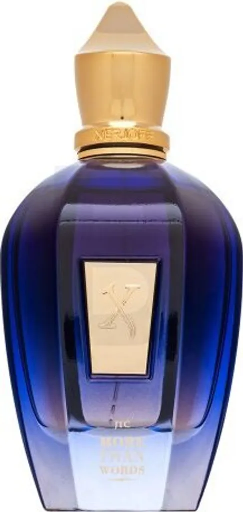 Xerjoff More Than Words Parfum 100ml - Solution Sillage Intense Durable