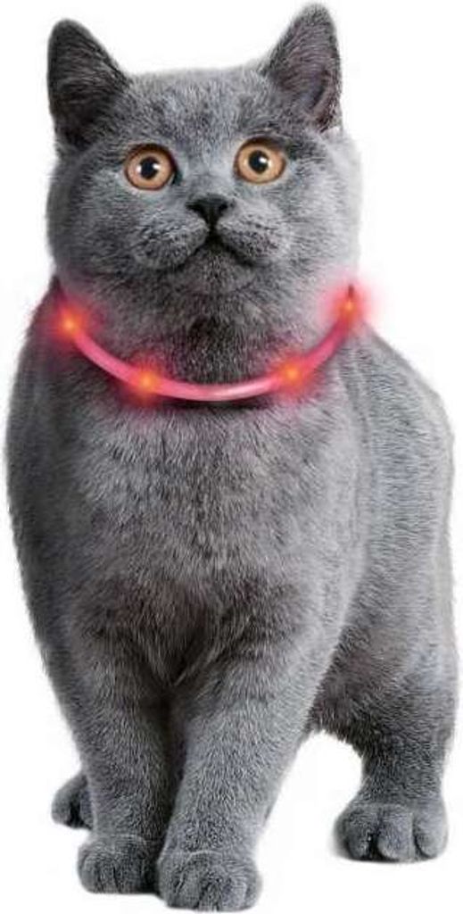 Karlie - Visio Light Led Halsband Katze, 35Cm Rot Produktbild 5
