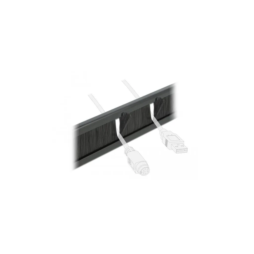 Delock 19 Pouces Kabelmanagement Bürstenleiste 2 HE Noir 66395