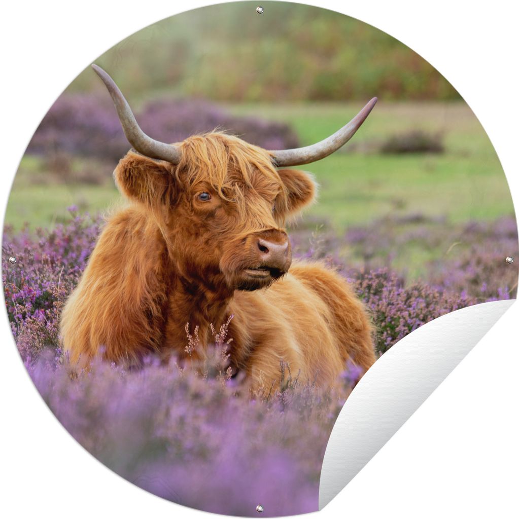 MuchoWow Gartenposter Outdoor-Poster Rund Schottischer Highlander - Braun - Büsche Ø 90 cm Gartendeko Rundes Poster draußen