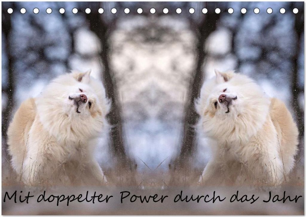 Mit doppelter Power durch das Jahr (Tischkalender 2026 DIN A5 quer), CALVENDO Monatskalender