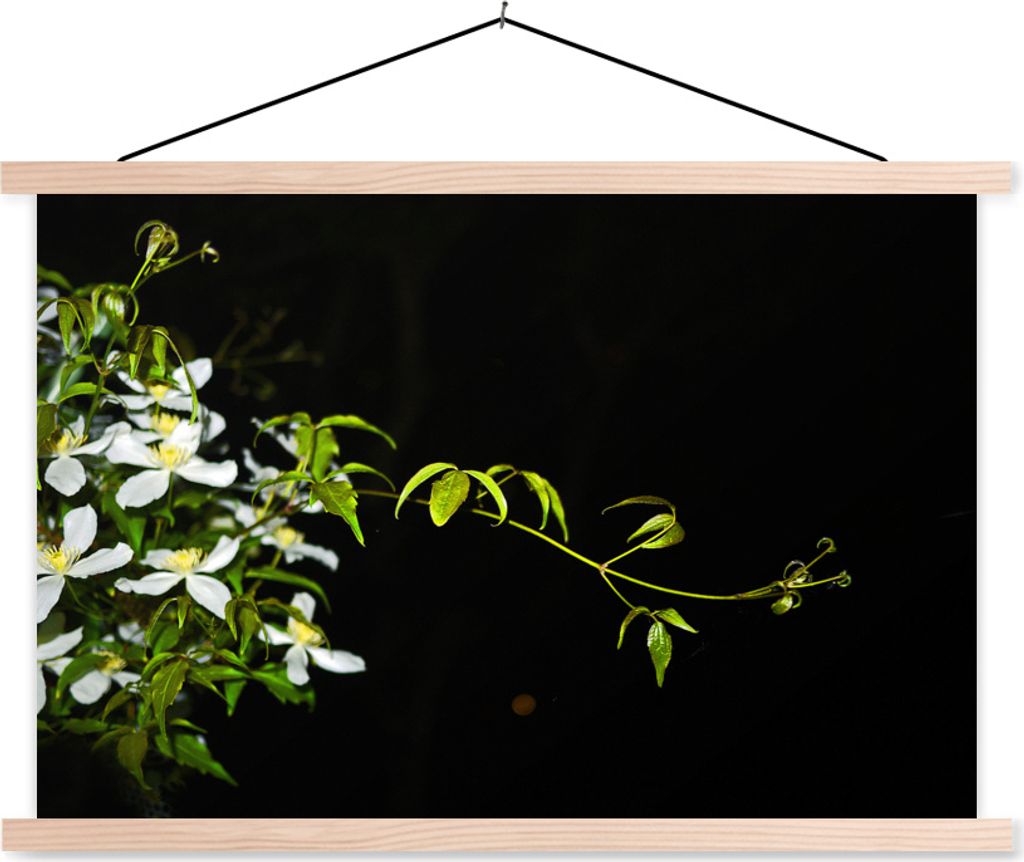 MuchoWow Textilposter Ein kriechender Zweig einer weißen Clematis auf schwarzem Hintergrund 120x80 cm mit holzfarbenen Rahmen - Aufhängeset