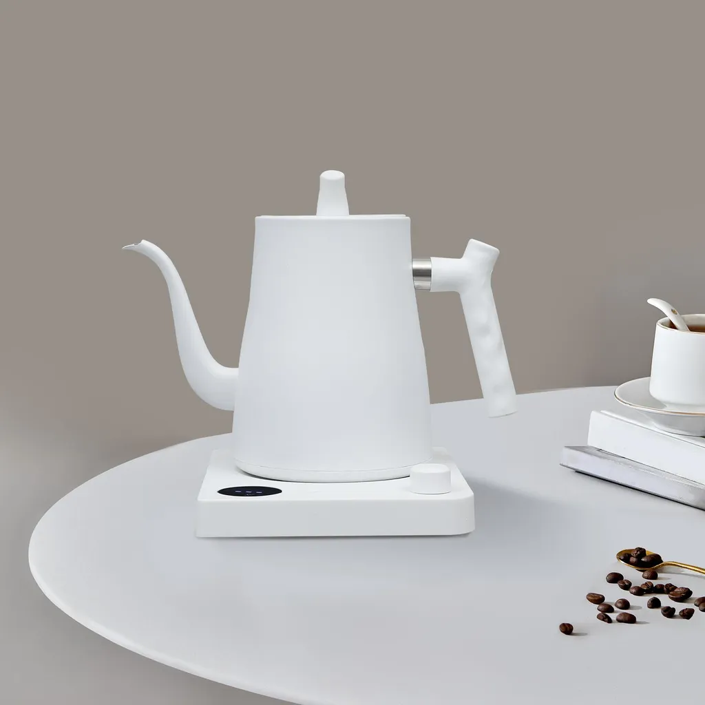 Bouilloire Électrique pour Thé et Café 1L Inox - Réglage Température