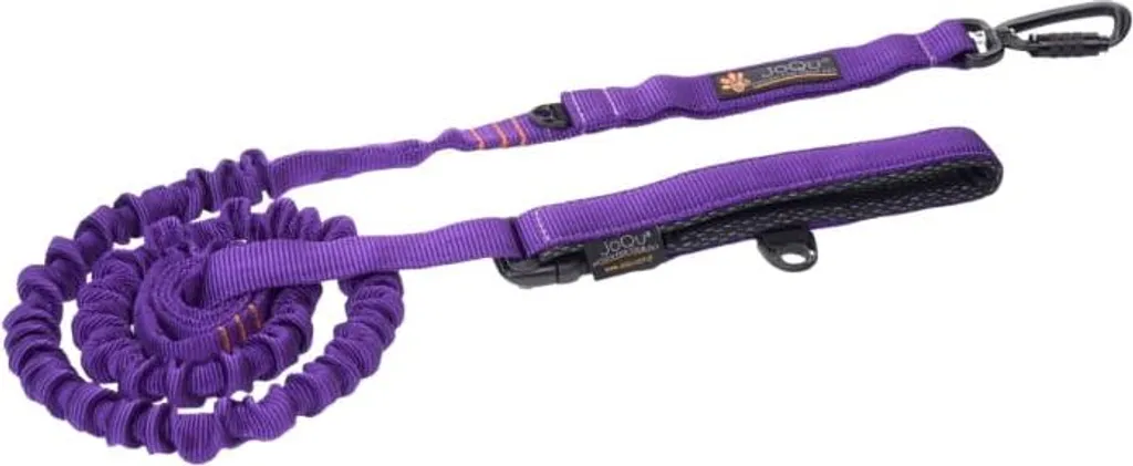 Laisse pour chien amortissante violette parfaite pour canicross et rando
