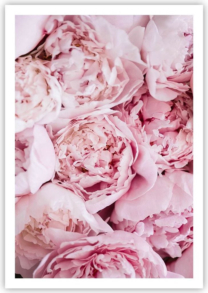 Poster - Poster ohne Rahmen - Blumenstrauß Blumen Rosa - 70x100 cm - Wand Bild - Wanddeko - Wandbilder - Kunstposter - Wandposter - Bilder - Kunst...