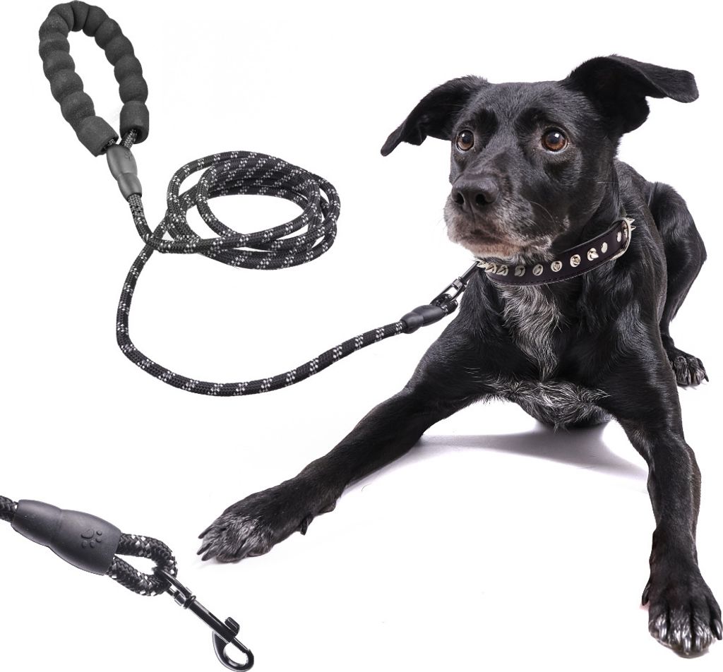 Laisse pour chien sur corde durable réfléchissante 3m Image du produit 